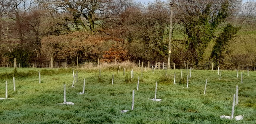 Sustainable Chulmleigh ... Working towards a greener future