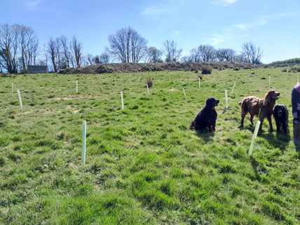 Sustainable Chulmleigh ... Working towards a greener future