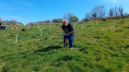 Sustainable Chulmleigh ... Working towards a greener future