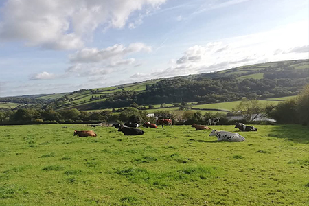 Sustainable Chulmleigh ... Working towards a greener future