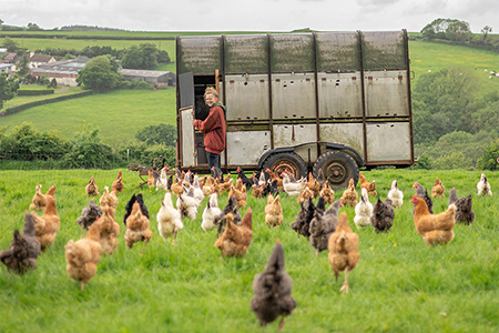 Sustainable Chulmleigh ... Working towards a greener future