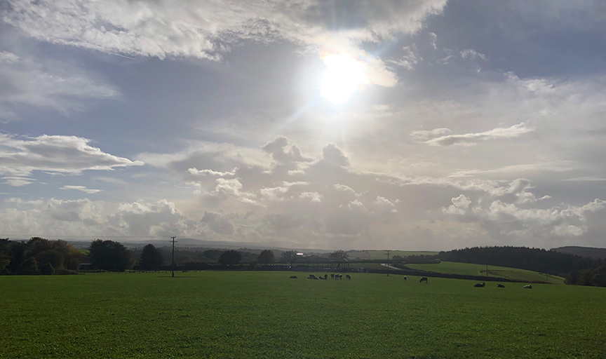 Taw Top Farm Langatons