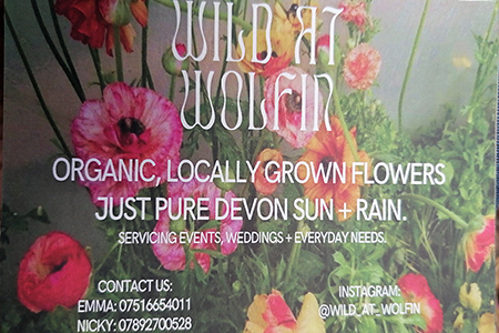 Sustainable Chulmleigh ... Working towards a greener future
